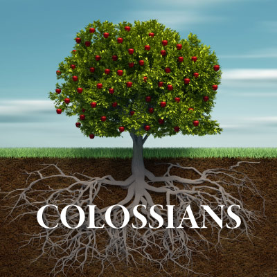 Collosins Tree Illustration